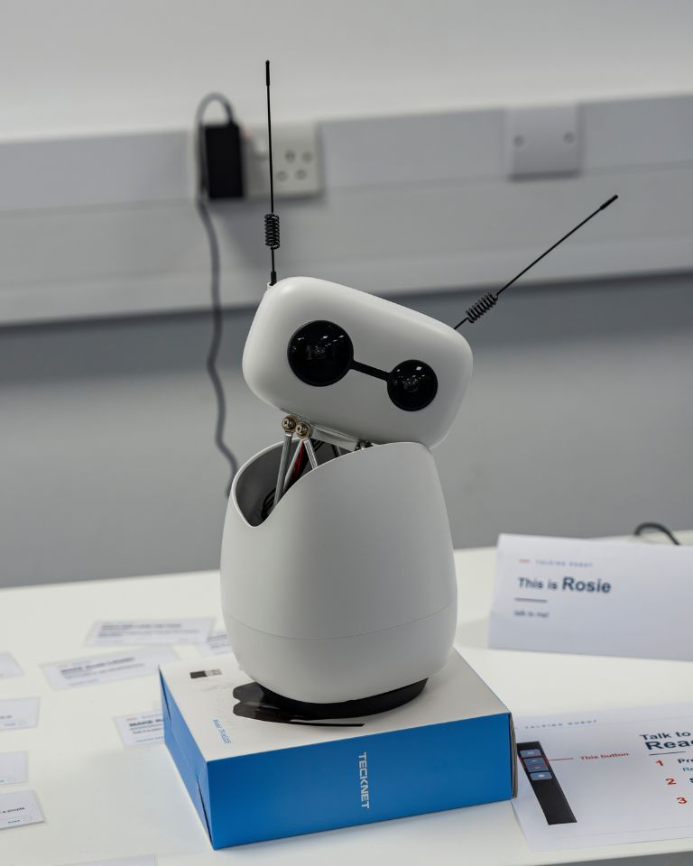 Rosie Robot at The British Science Festival